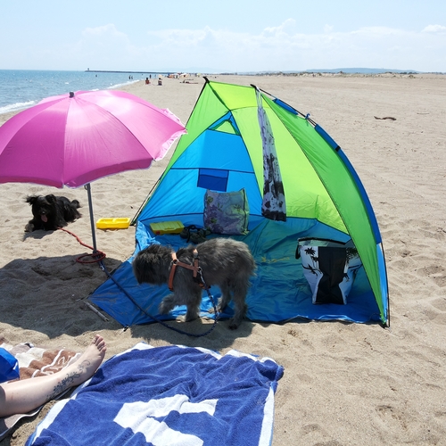 Urlaub Frankreich 2015 (8)